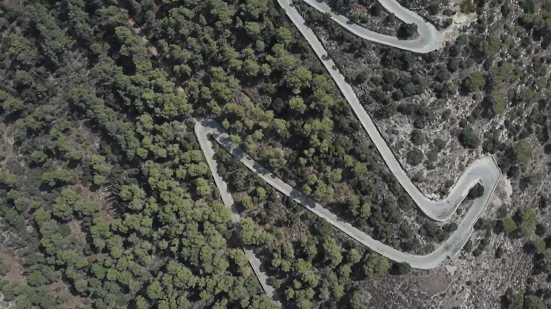 6 The Transfiguration Of the Lord Trailer.mp4